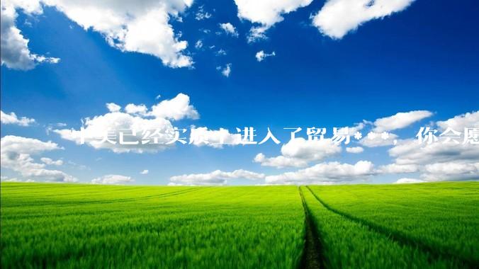 中美已经实质上进入了贸易***，你会愿意为此做什么？
