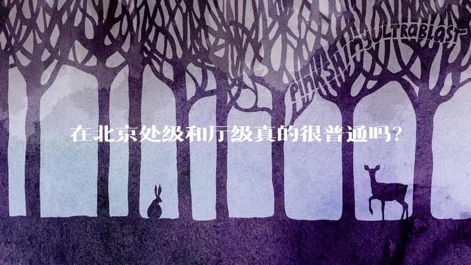 在北京处级和厅级真的很普通吗？