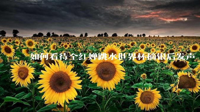 如何看待全红婵跳水世界杯摘银后发声「那咋了这就破防了」？「金牌至上」观念是对运动员的一种捆绑吗？
