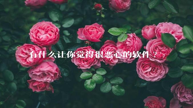有什么让你觉得很恶心的软件?