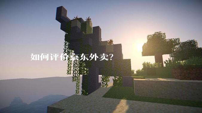 如何评价京东外卖？